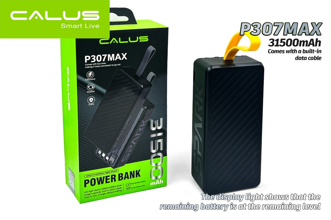 P307MAX Power Bank